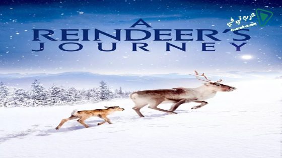 فيلم A Reindeer’s Journey 2018 مترجم