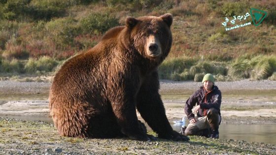 فيلم Bear Like 2019 مترجم