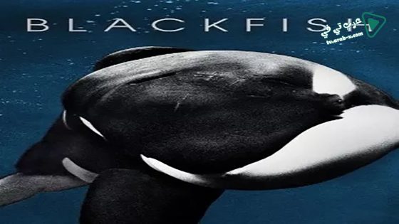فيلم Blackfish 2013 مترجم