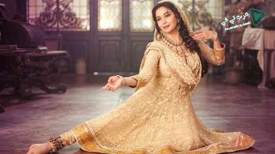 فيلم Dedh Ishqiya 2014 مترجم