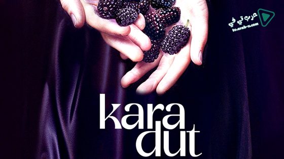 مسلسل التوت الاسود الحلقة 6 مترجم – الأخيرة