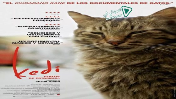 فيلم Kedi 2016 مترجم