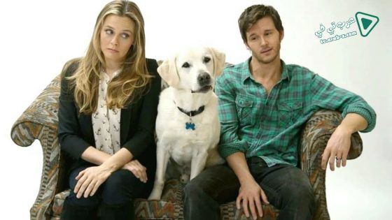فيلم Who Gets the Dog 2016 مترجم